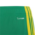 Shorts infantil Sudáfrica 2026 Copa del Mundo local
