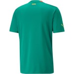 Senegal Camiseta de Visita Mundial 2022