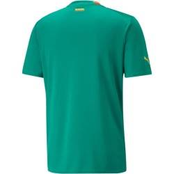 Senegal Camiseta de Visita Mundial 2022