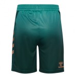 Pantalones Cortos Terceros Werder Bremen 2025/26 Hombre Pantalones Cortos Terceros Werder Bremen 2025/26 Hombre