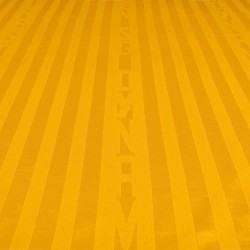 Camiseta local infantil de manga larga Dynamo Dresden 2026/27