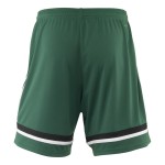 Pantalones especiales del 150º aniversario 2025/26 del FC Schalke 04 para hombre
