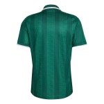 Camiseta visitante Sudáfrica 2026 Copa del Mundo hombre Camiseta visitante Sudáfrica 2026 Copa del Mundo hombre