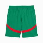 Terceros pantalones cortos Marruecos 2025 hombre - verde