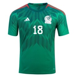 Andres Guardado #18 México Camiseta de Local Mundial 2022