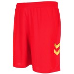 Pantalones cortos de visitante SC Paderborn 07 2026/27 para hombre Pantalones cortos de visitante SC Paderborn 07 2026/27 para hombre