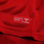 Camiseta Mundial 2026 Local Dinamarca Niño