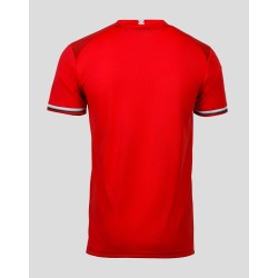 Camiseta Europa League Local de FC Twente 2024/25 para Hombres
