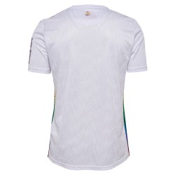 Camiseta especial de diversidad 2024/25 del 1. FC Köln para hombre