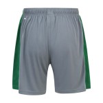 Pantalones Cortos Visitantes de Cardiff City 2024/25 para Niños