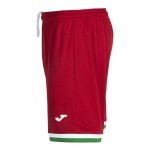 Pantalón Corto de la Tercera Equipación de la Real Sociedad 2026/27 para Niño