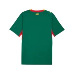 Camiseta Mundial 2026 Visitante Senegal Niño Camiseta Mundial 2026 Visitante Senegal Niño