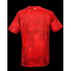 Camiseta local 1. FC Kaiserslautern 2024/25 para hombre