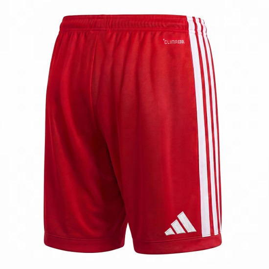 Pantalones cortos Local Hamburger SV 2026/27 Niño
