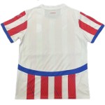 Paraguay Camiseta de Local Copa América 2024
