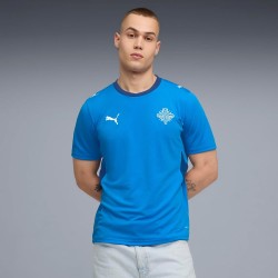 Camiseta Mundial 2026 Local Islandia Mujer