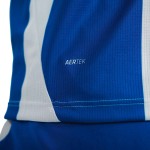 Camiseta de Manga Larga de Local Hertha BSC 2026/27 para Niño