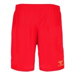 Pantalones cortos de visitante SC Paderborn 07 2026/27 para hombre Pantalones cortos de visitante SC Paderborn 07 2026/27 para hombre