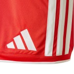 Pantalón Corto 1. FC Unión Berlín 2026/27 Local Hombre