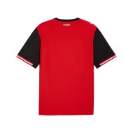 Camiseta de hombre Austria 2026 Copa del Mundo local