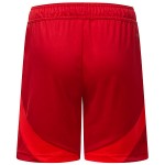Pantalones cortos de casa para niño Fortuna Düsseldorf 2024/25