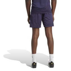 Pantalones cortos visitante LA Galaxy 2025 niño Pantalones cortos visitante LA Galaxy 2025 niño