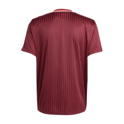 Camiseta Icono Bayern Múnich 2024/25 Hombre