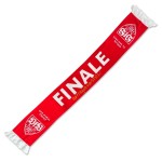Bufanda Cup Final VfB Stuttgart