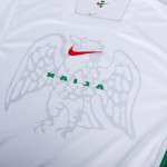 Camiseta de casa OSIMHEN Nigeria 2024/25 para hombres