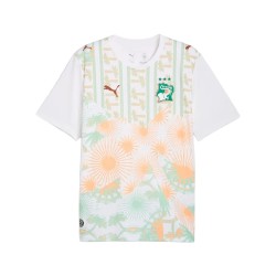 Camiseta visitante Costa de Marfil 2026 Copa del Mundo hombre