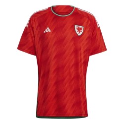 Gales Camiseta de Local Mundial 2022