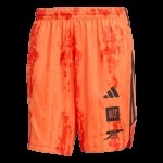 Niño Arsenal x NTS 2025/26 Pantalones cortos Urban Purist