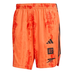 Hombre Arsenal x NTS 2025/26 Pantalones cortos Urban Purist