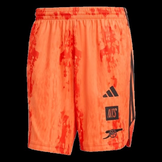 Niño Arsenal x NTS 2025/26 Pantalones cortos Urban Purist
