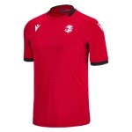 Georgia Camiseta Alternativa EURO 2024