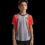 Niño Chelsea 2025/26 Tercera Camiseta Pre-Partido Gris