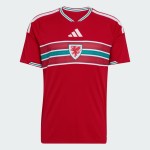 Camiseta local de la Copa del Mundo 2026 de Gales para hombre