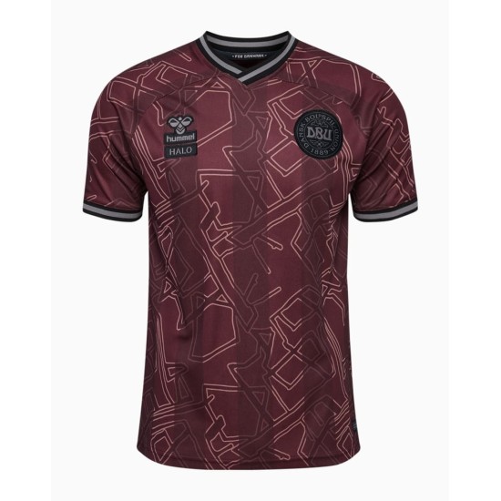 Camiseta especial 2024 de Dinamarca para niño