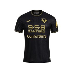 Camisa de tercera equipación para hombre Hellas Verona 2024/25