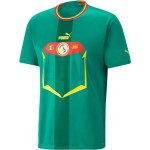 Senegal Camiseta de Visita Mundial 2022