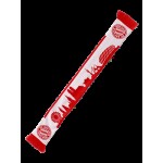 Bufanda Skyline Bayern Munich