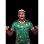 Camiseta Third Camerún 2025/26 Fourteen AFCON para hombre Camiseta Third Camerún 2025/26 Fourteen AFCON para hombre
