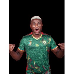 Camiseta Third Camerún 2025/26 Fourteen AFCON para niño