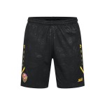 Pantalones cortos local Dynamo Dresden 2025/26 hombre