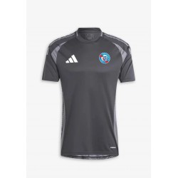 Camisa pre-partido de tercera equipación para hombre Strasbourg 2024/25 - Gris