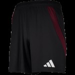 Pantalones Cortos Casa 1. FC Nürnberg 2024/25 para Hombres