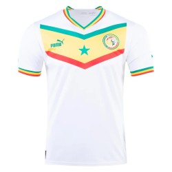 Senegal Camiseta de Local Mundial 2022