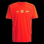 Hombre Arsenal x NTS 2025/26 Camiseta Urban Purist - Naranja