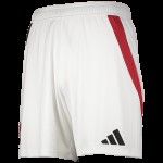 Pantalones Cortos Fuera 1. FC Nürnberg 2024/25 para Hombres