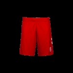 Pantalones Cortos Local SSV Jahn Regensburg 2025/26 Hombre Pantalones Cortos Local SSV Jahn Regensburg 2025/26 Hombre